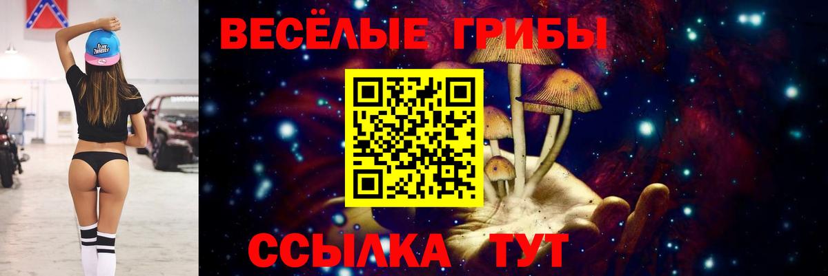 наркошоп  Галлюциногенные грибы GOLDEN TEACHER  Вход с VPN  Сорочинск 